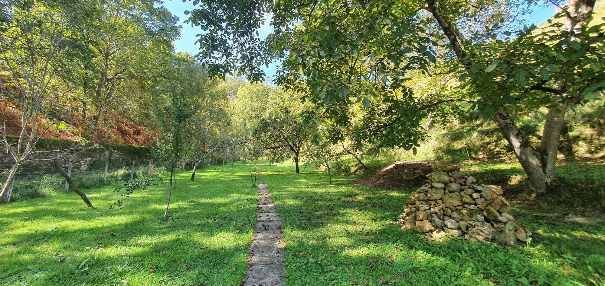 La Casona De La Vega Junto A Onís Dış mekan fotoğraf